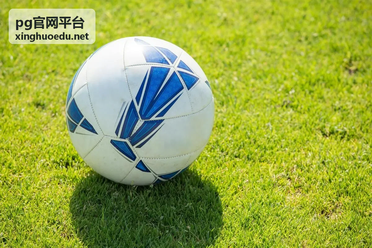 pg官网平台收藏与再次进入的规范做法配图