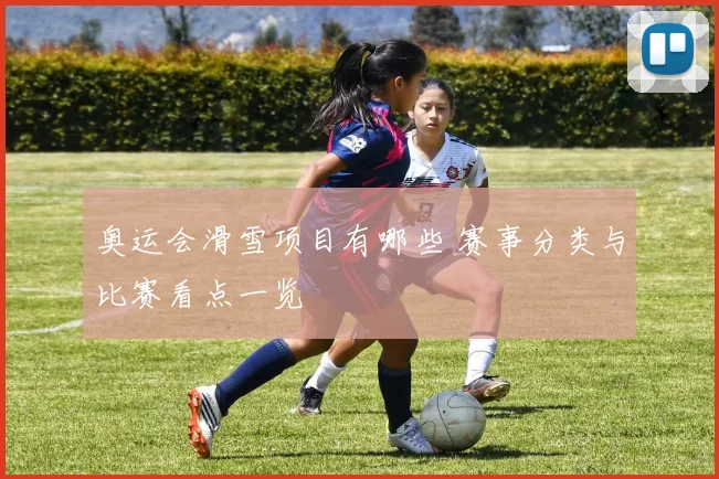 奥运会滑雪项目有哪些 赛事分类与比赛看点一览