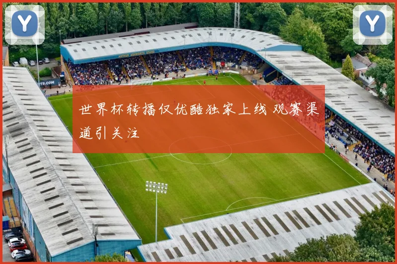 世界杯转播仅优酷独家上线 观赛渠道引关注
