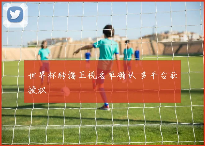 世界杯转播卫视名单确认 多平台获授权