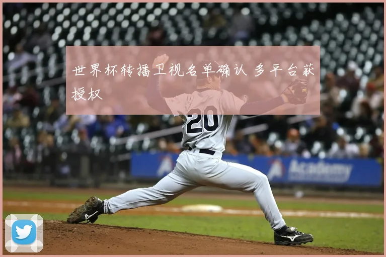 世界杯转播卫视名单确认 多平台获授权