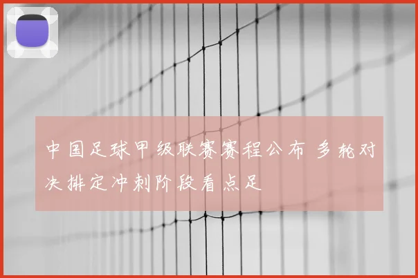 中国足球甲级联赛赛程公布 多轮对决排定冲刺阶段看点足