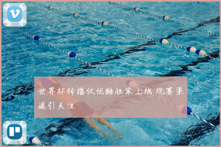 世界杯转播仅优酷独家上线 观赛渠道引关注