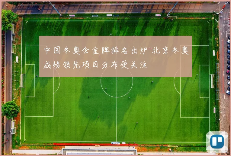 中国冬奥会金牌排名出炉 北京冬奥成绩领先项目分布受关注