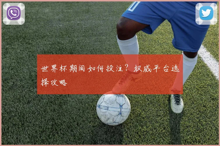 世界杯期间如何投注？权威平台选择攻略
