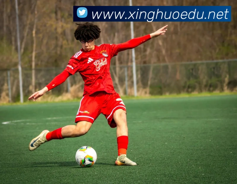 mksports在线登录入口APP 封面图